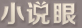 小说眼