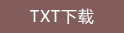 TXT下载
