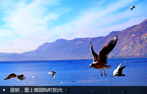 昆明，爱上南国灿烂阳光