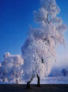 冰雪天地里其乐无穷