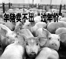 猪价节前难涨 年后或再次下跌