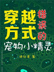 穿越方式错误的宠物小精灵