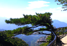 云雾缭绕三清山