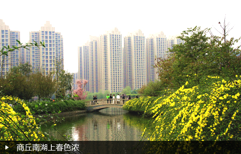 商丘南湖上春色浓