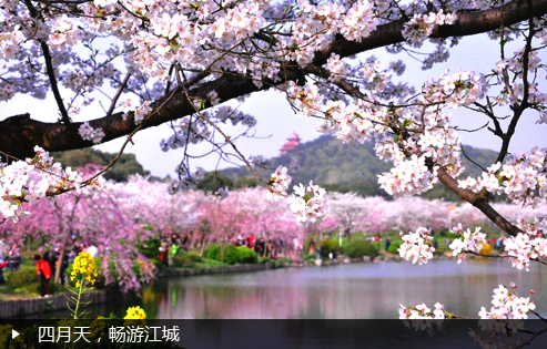 四月天，畅游江城
