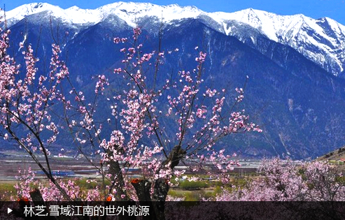 林芝,雪域江南的世外桃源