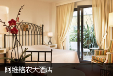 阿维格农大酒店