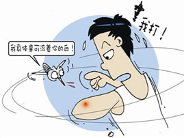 蚊子吸血爱大汗淋漓 无关血型