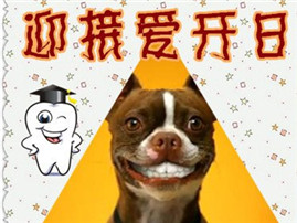 【喜乐蒂版】乐宠APP专属活动——迎接爱牙日，晒露牙PP得大奖
