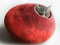 爱猫人士必备的23件物品
