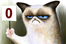 猫奴噩耗！你家的猫咪其实不爱你