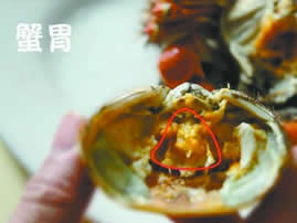  螃蟹不能吃的4个部位（图解）