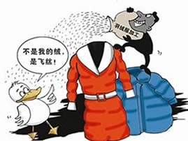 羽绒服中“飞丝”假冒真绒？