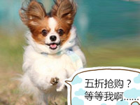 爆笑宠乐园334:我爱购物