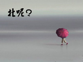 任性的二手车网站，你们找到北了吗？