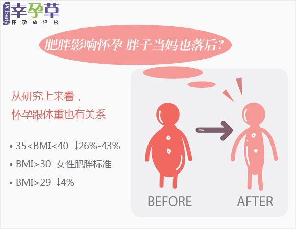 肥胖影响怀孕 胖子当妈也落后