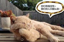 爆笑宠乐园368:我很任性