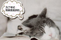 爆笑宠乐园351:我蛮拼的 