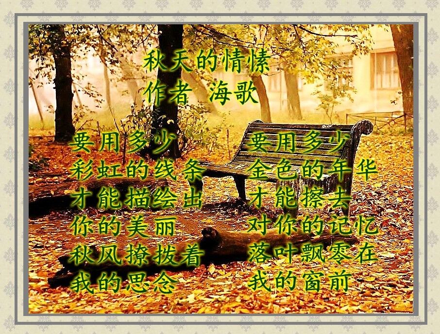 1.秋天的情愫