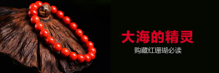 大海的精灵——购藏红珊瑚必读