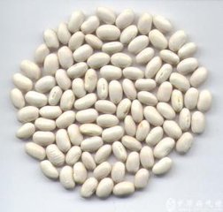 芸豆