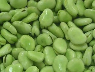 蚕豆