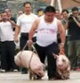 真正高手在民间，真服了！