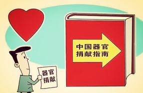 【中国发布首部“器官捐献指南”】