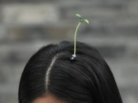 “头上长豆芽花”那些人是个什么心理