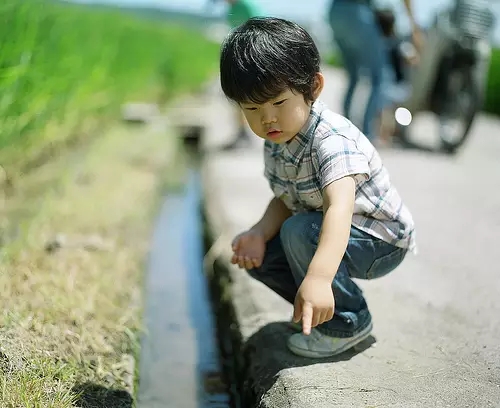 孩子，读书不苦，不读书的人生才苦